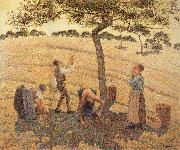 Camille Pissarro Pick Apple Germany oil painting artist